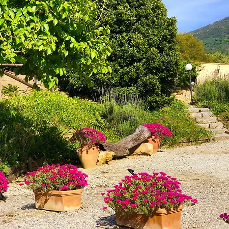 Cuore Della Valle